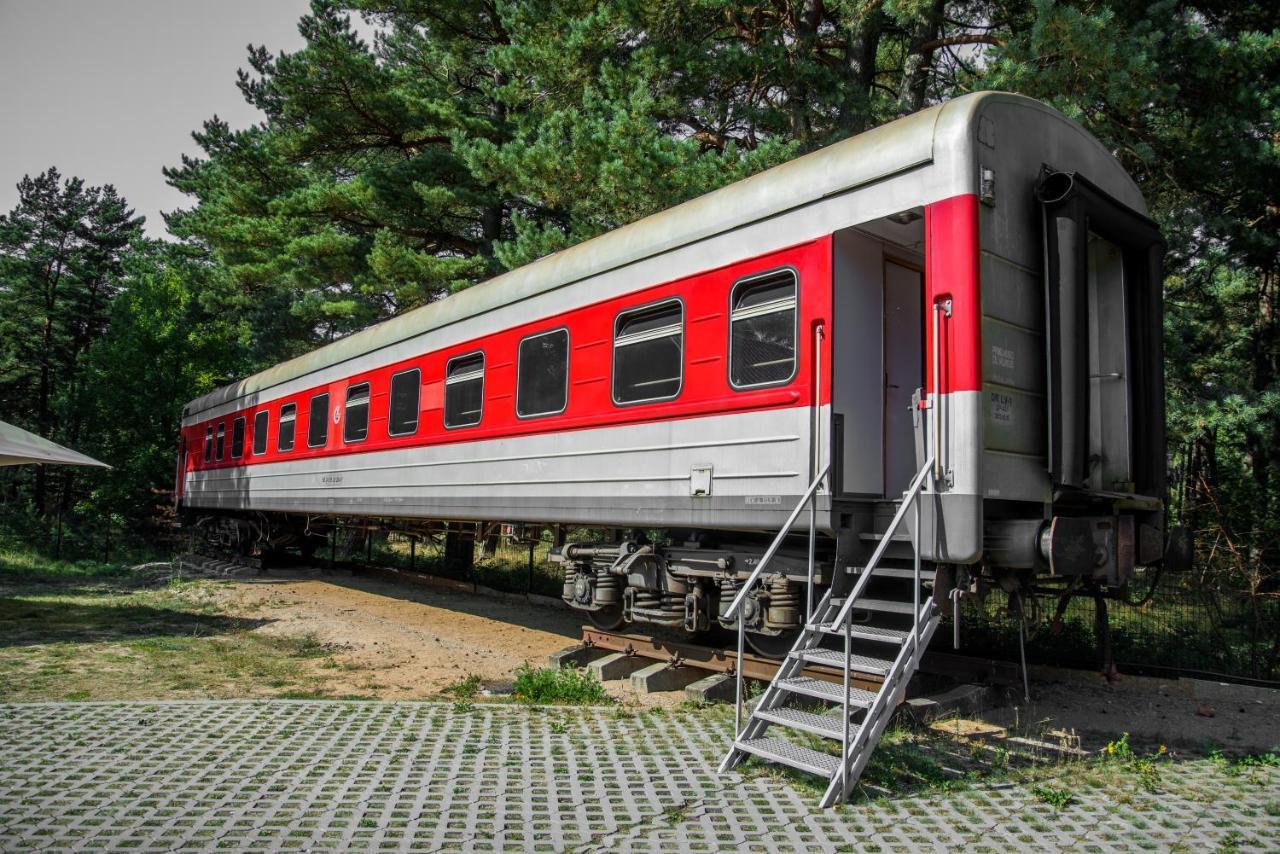 Palanga Camping Compensa Hostel Exteriör bild